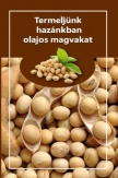Termeljünk hazánkban olajos magvakat