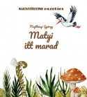Matyi itt marad