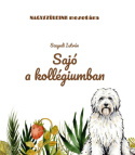 Sajó a kollégiumban
