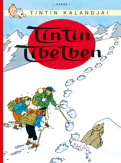 Tintin kalandjai 20.