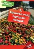 Ágyásba való egynyári virágok