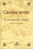 Te mire gondolsz közben?