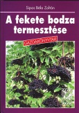 A fekete bodza termesztése