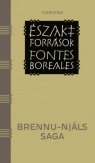 Brennu-Njáls Saga - Északi források