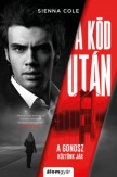 A köd után