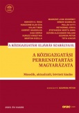 A közigazgatási perrendtartás magyarázata