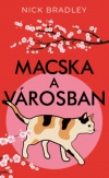 Macska a városban
