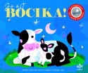 Jó éjt, bocika!