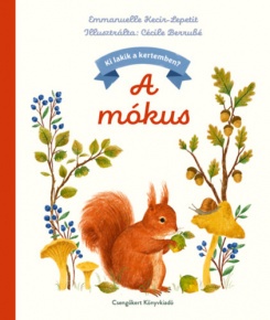 A mókus
