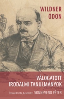 Válogatott irodalmi tanulmányok
