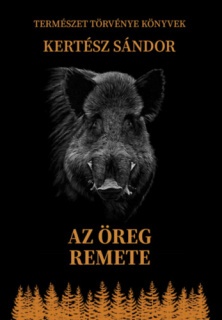 Az öreg remete