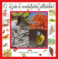 Ó, azok a csodálatos állatok - Őszi-téli ösvényeken