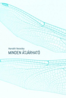 Minden átjárható