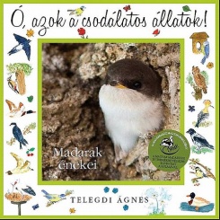 Ó azok a csodálatos állatok - Madarak énekei