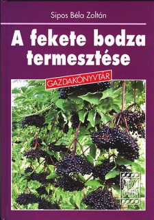 A fekete bodza termesztése