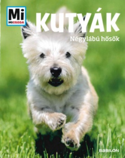 Kutyák