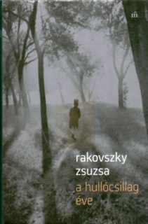 A hullócsillag éve