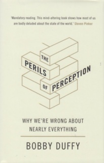 The Perils of Perception