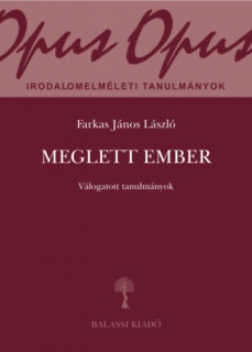 Meglett ember
