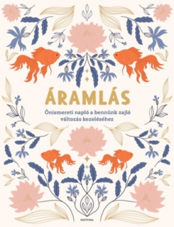 Áramlás