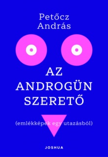 Az androgün szerető