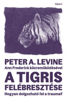 A tigris felébresztése