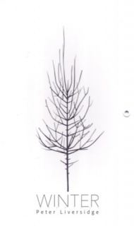 Winter - Művészeti leporelló babáknak