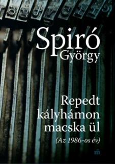 Repedt kályhámon macska ül