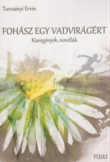 Fohász egy vadvirágért