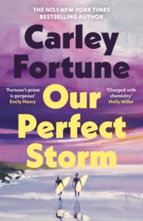 Our Perfect Storm - Paperback